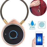 Fingerprint smart lock w09