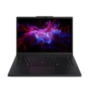 Lenovo 21G20029US