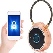 Fingerprint smart lock w09