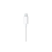 Apple MWTY3